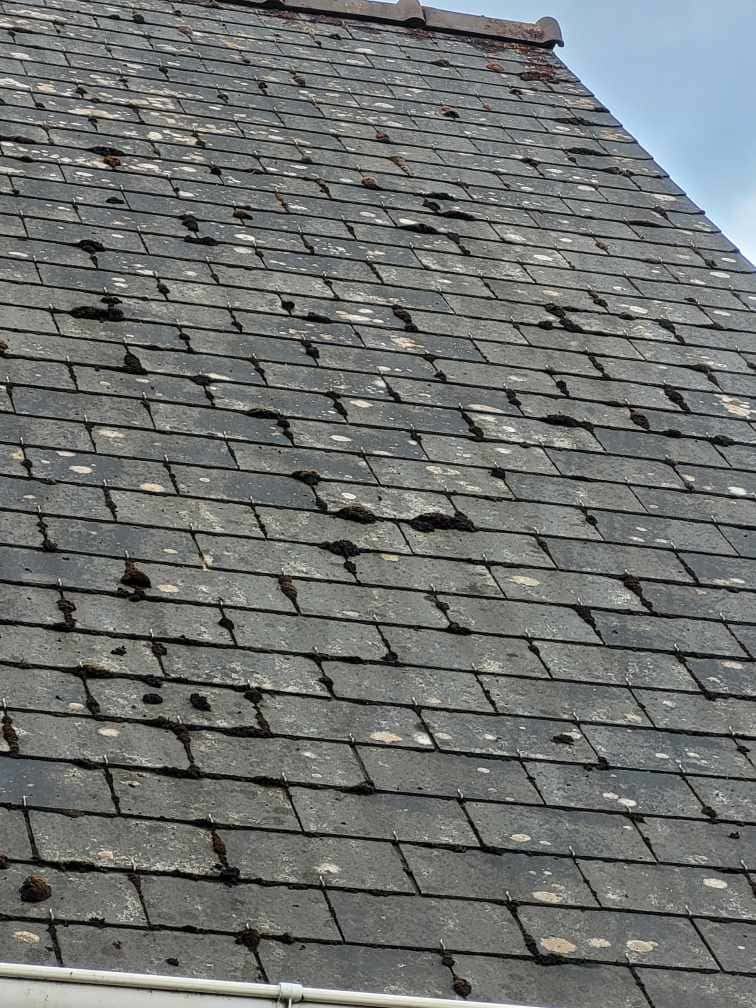 toitures en ardoise fibro-ciment