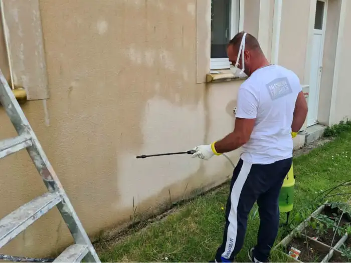 Décontamination et nettoyage façade et toiture à Nantes