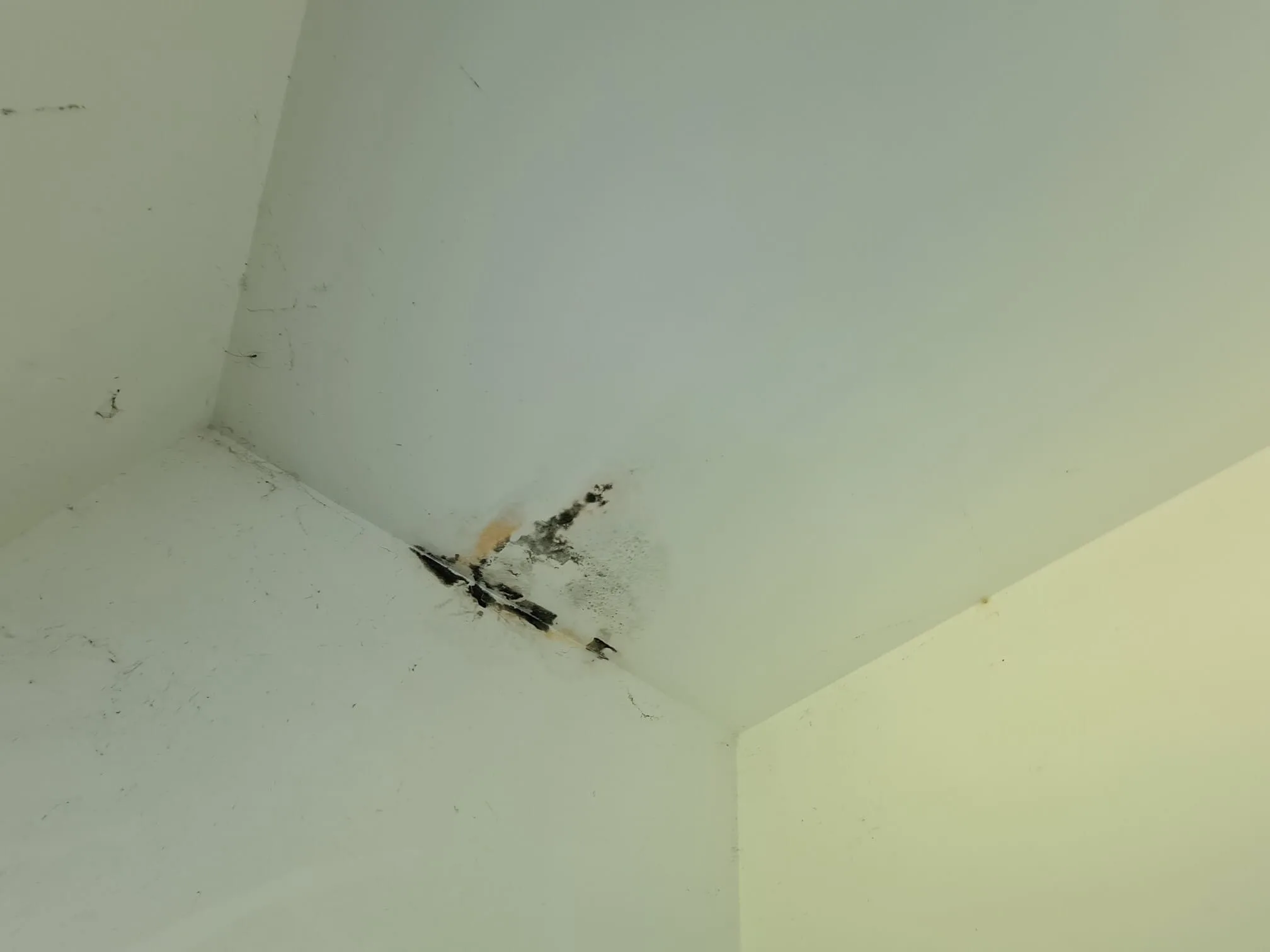 Humidité plafond